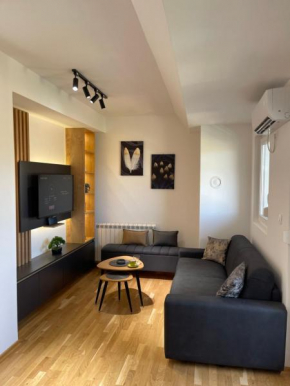 Cozy lux mountain apartment Žabljak